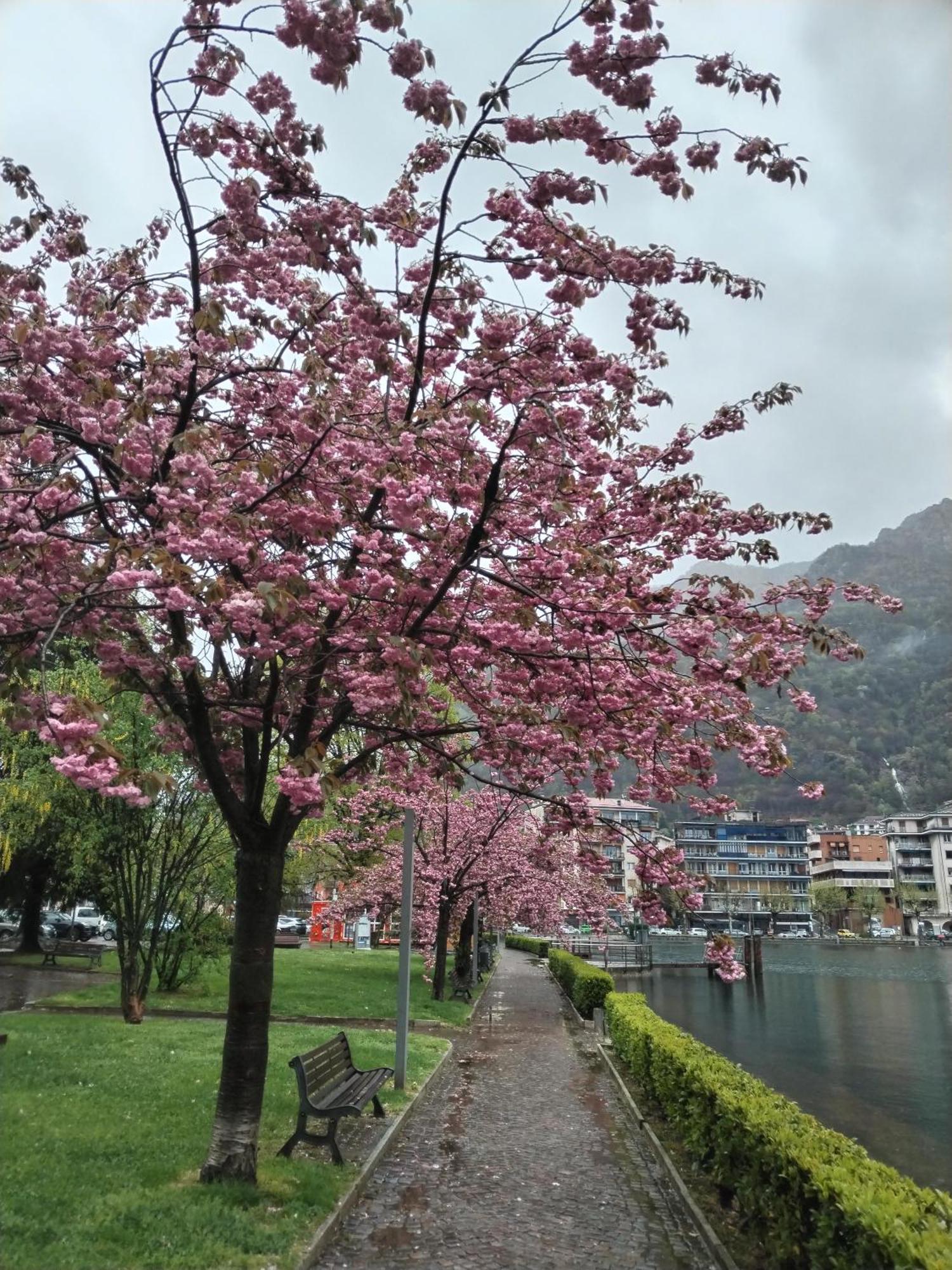 Un Balcone Sul Lago Omegna Ngoại thất bức ảnh